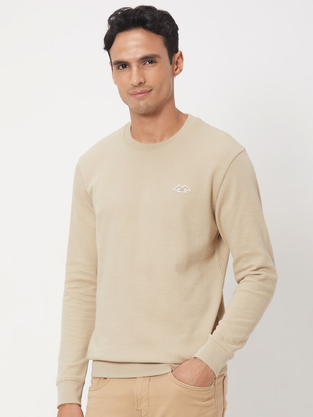 Beige Embroidered Jacquard Textured Jersey Sweatshirt