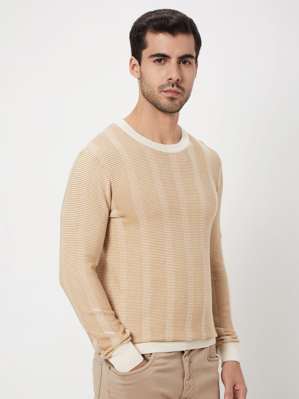 Beige Stripe Slim Fit Sweater