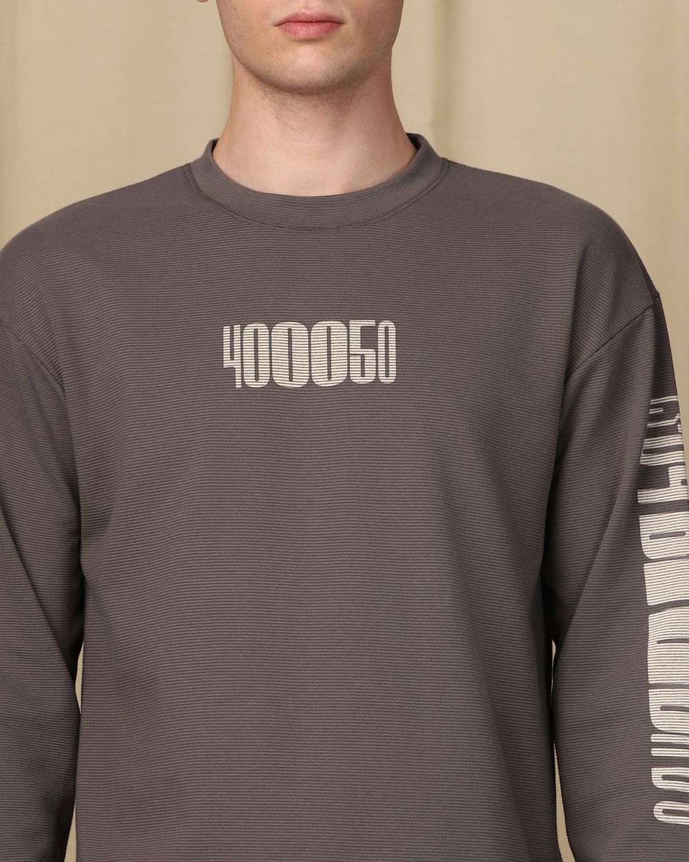 Grey Textured Plain Graphic Sweatshirt