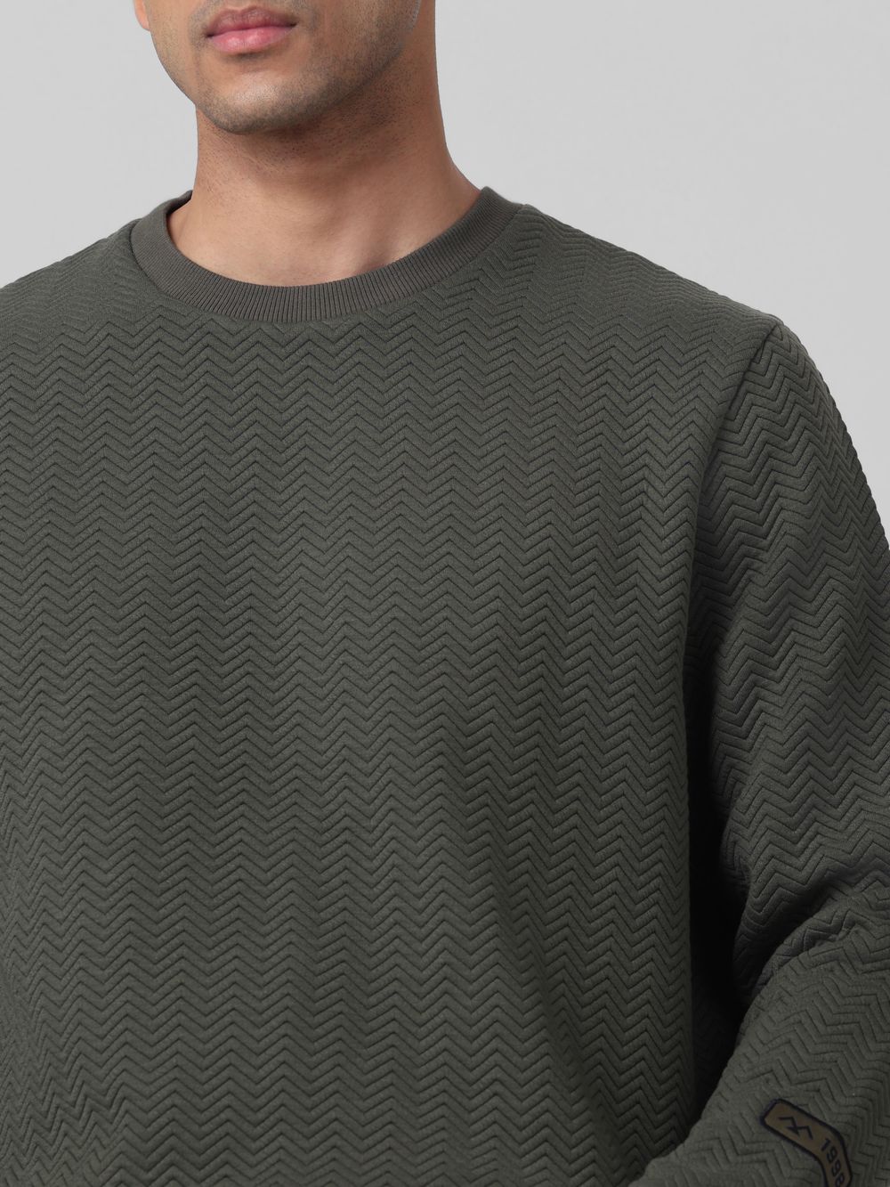 Textured Plain Slim Fit Sweatshirt