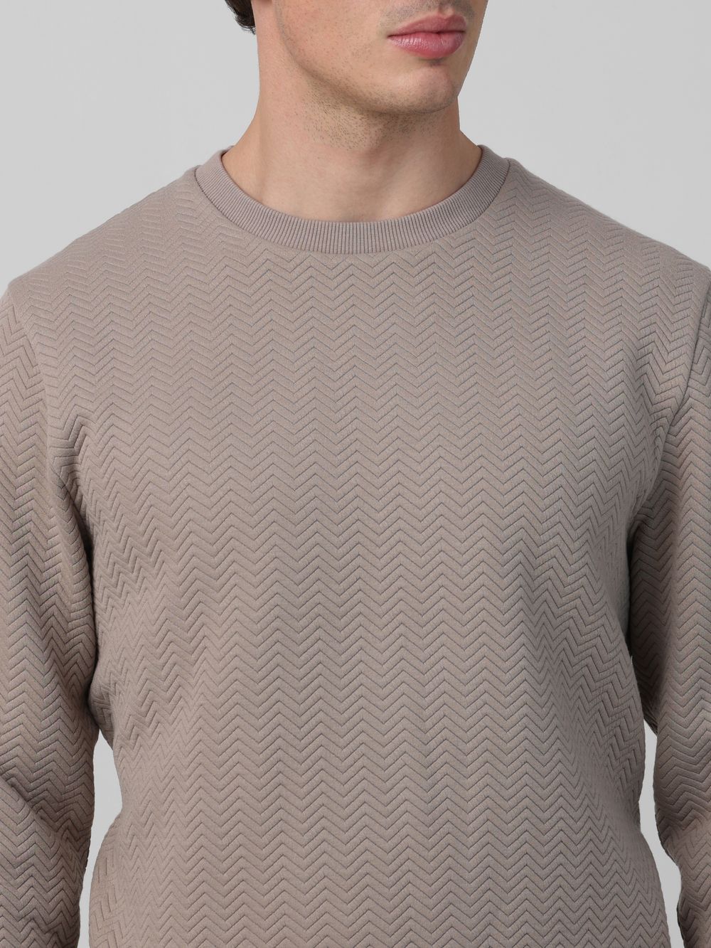 Textured Plain Slim Fit Sweatshirt