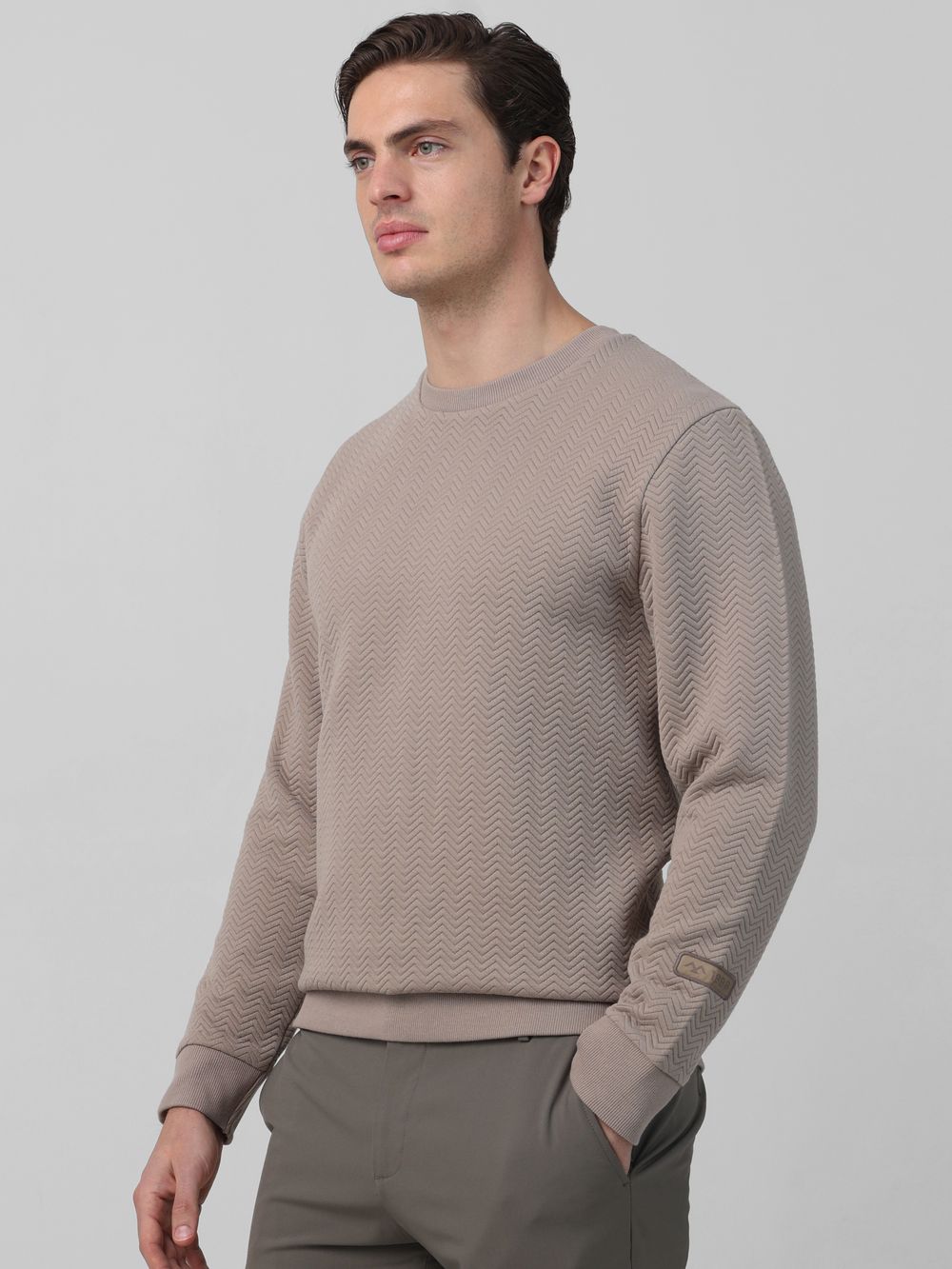 Textured Plain Slim Fit Sweatshirt