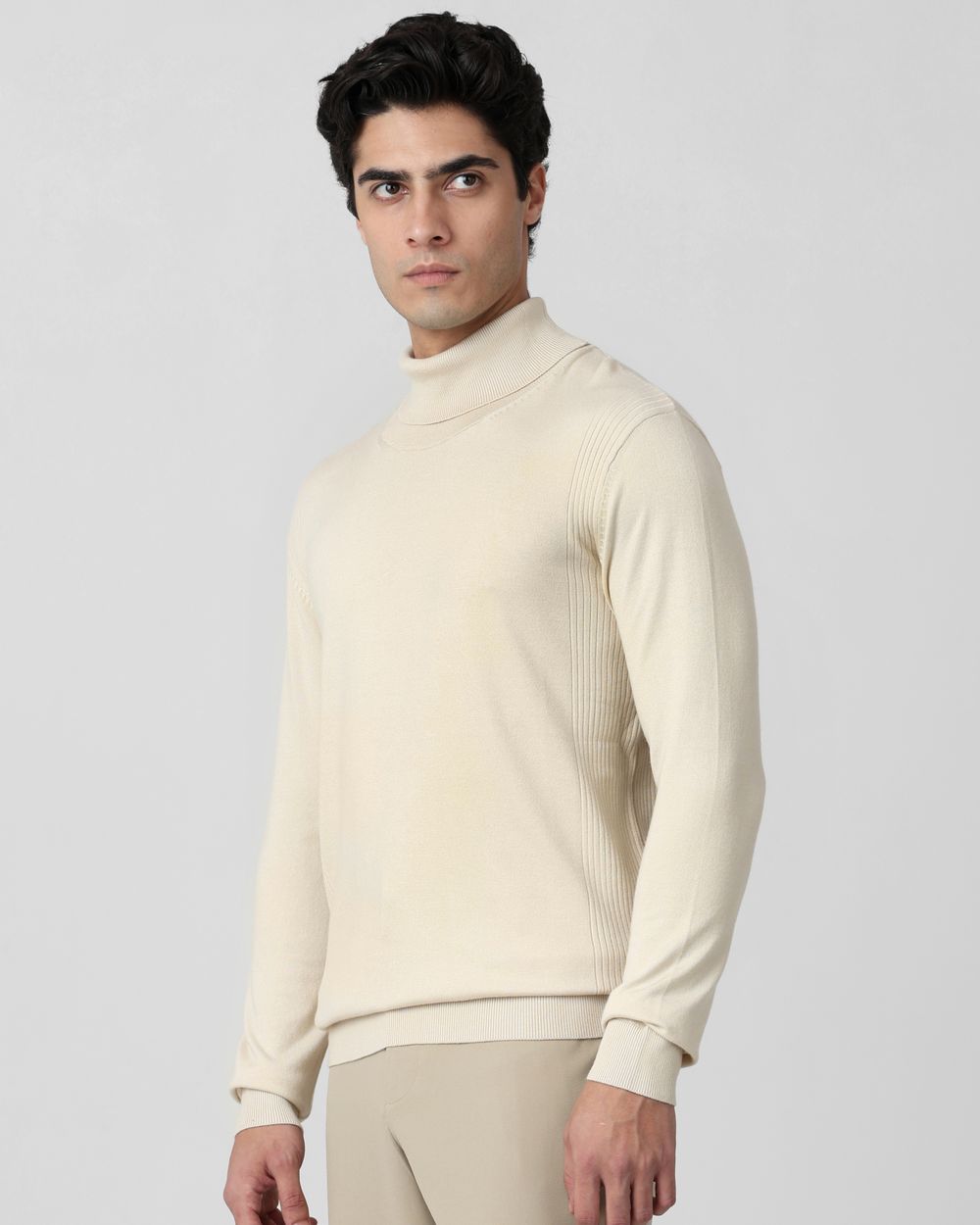 Beige Turtle Neck Plain Slim Fit Sweater