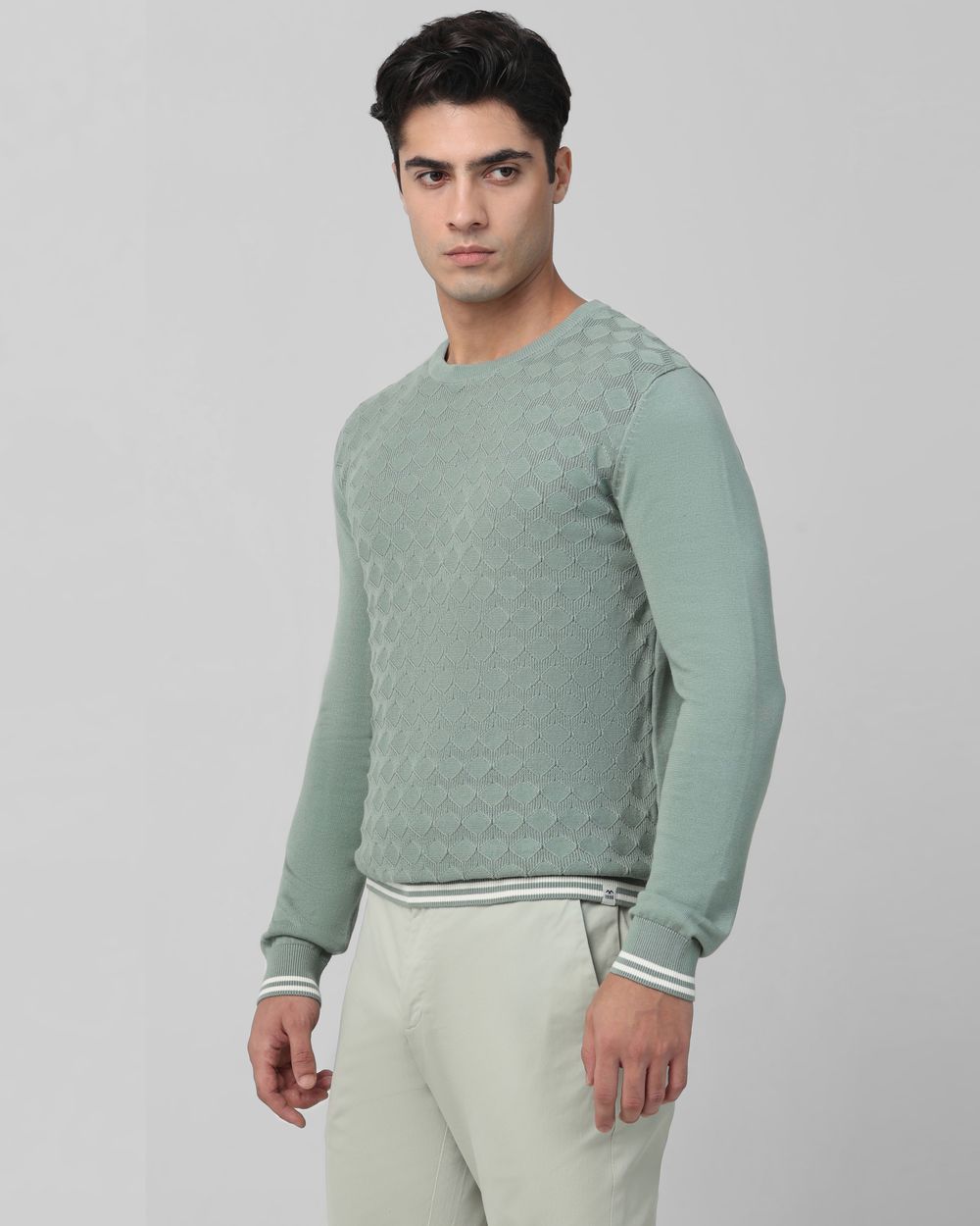 Light Olive Textured Plain Slim Fit Sweater