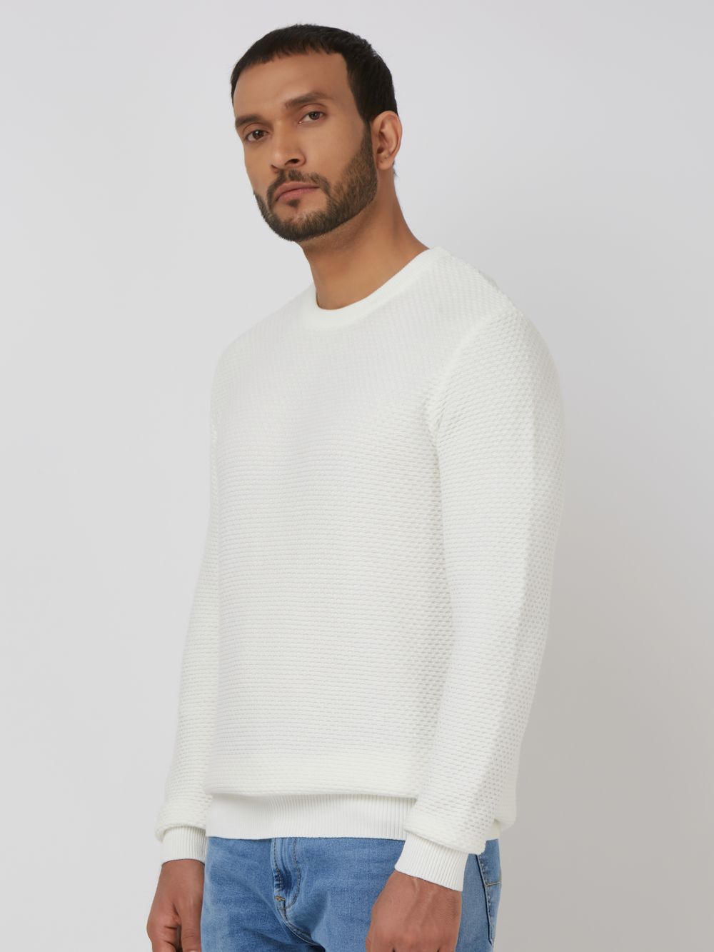 Textured Slim Fit Sweater