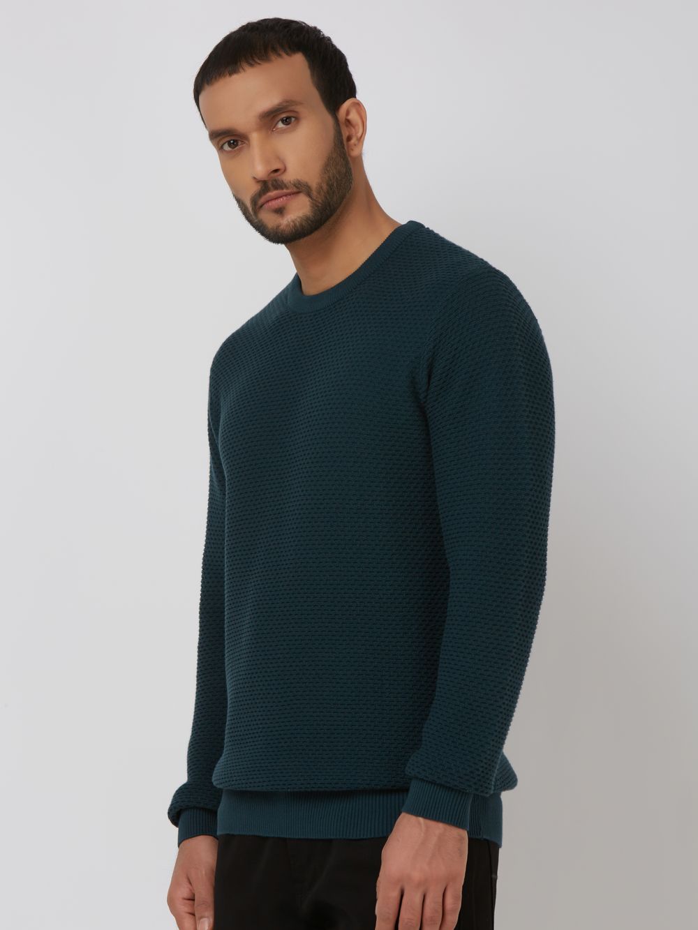 Textured Slim Fit Sweater