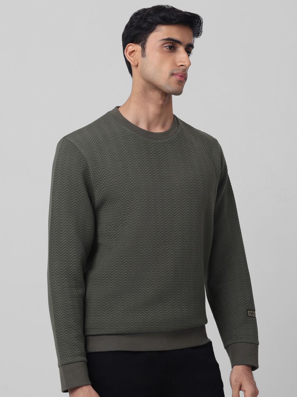 Textured Plain Slim Fit Sweatshirt