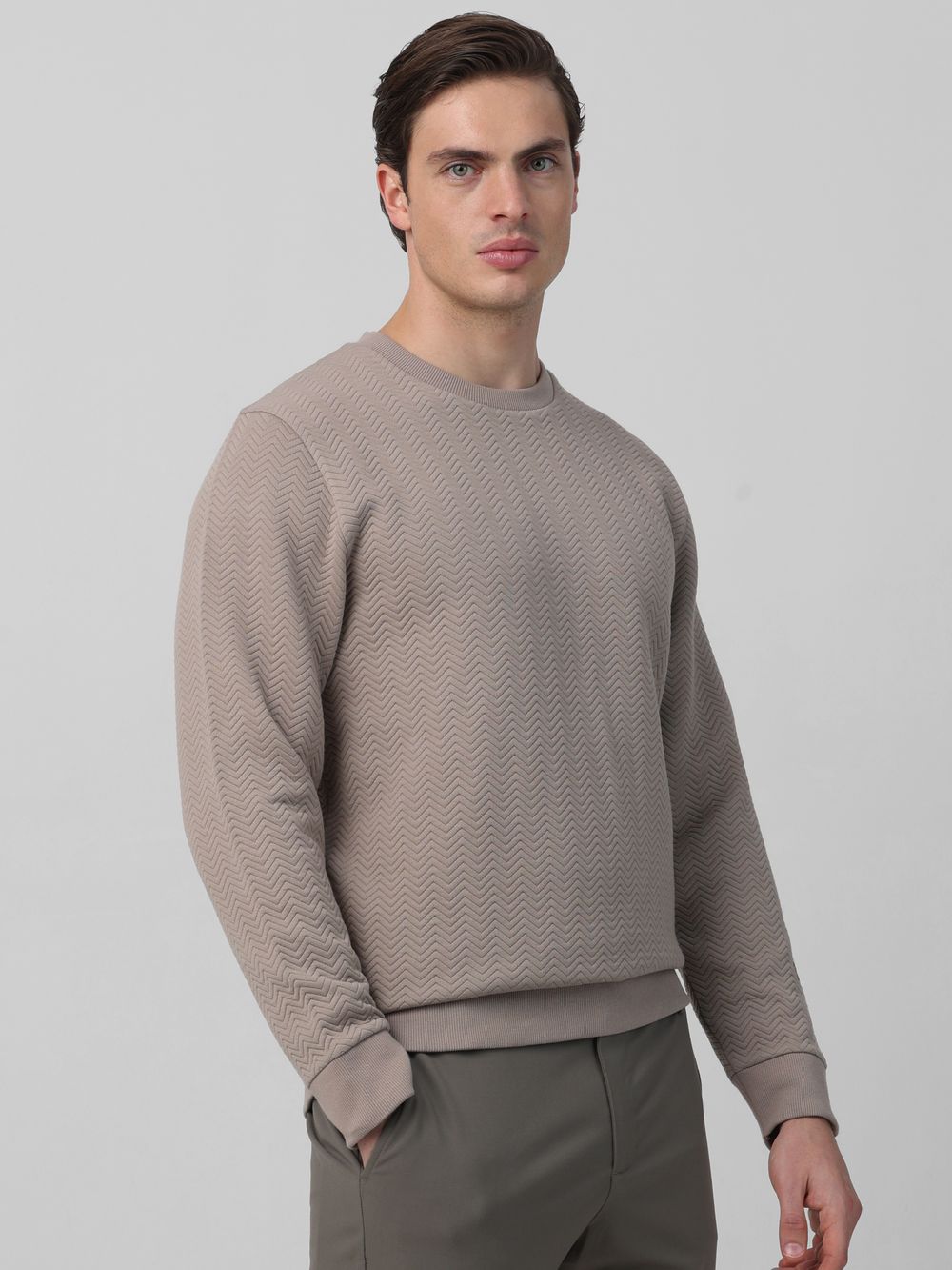 Textured Plain Slim Fit Sweatshirt