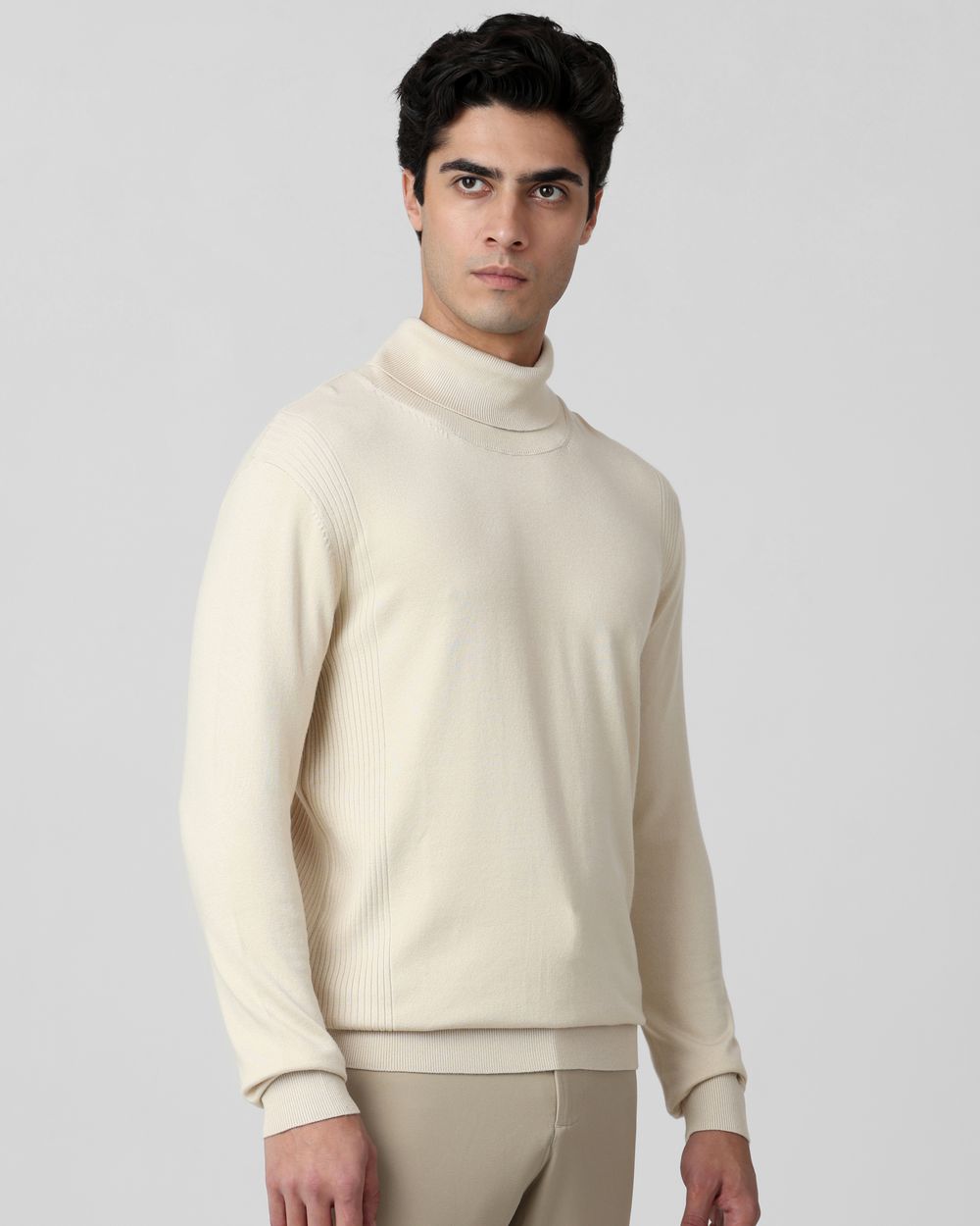 Beige Turtle Neck Plain Slim Fit Sweater