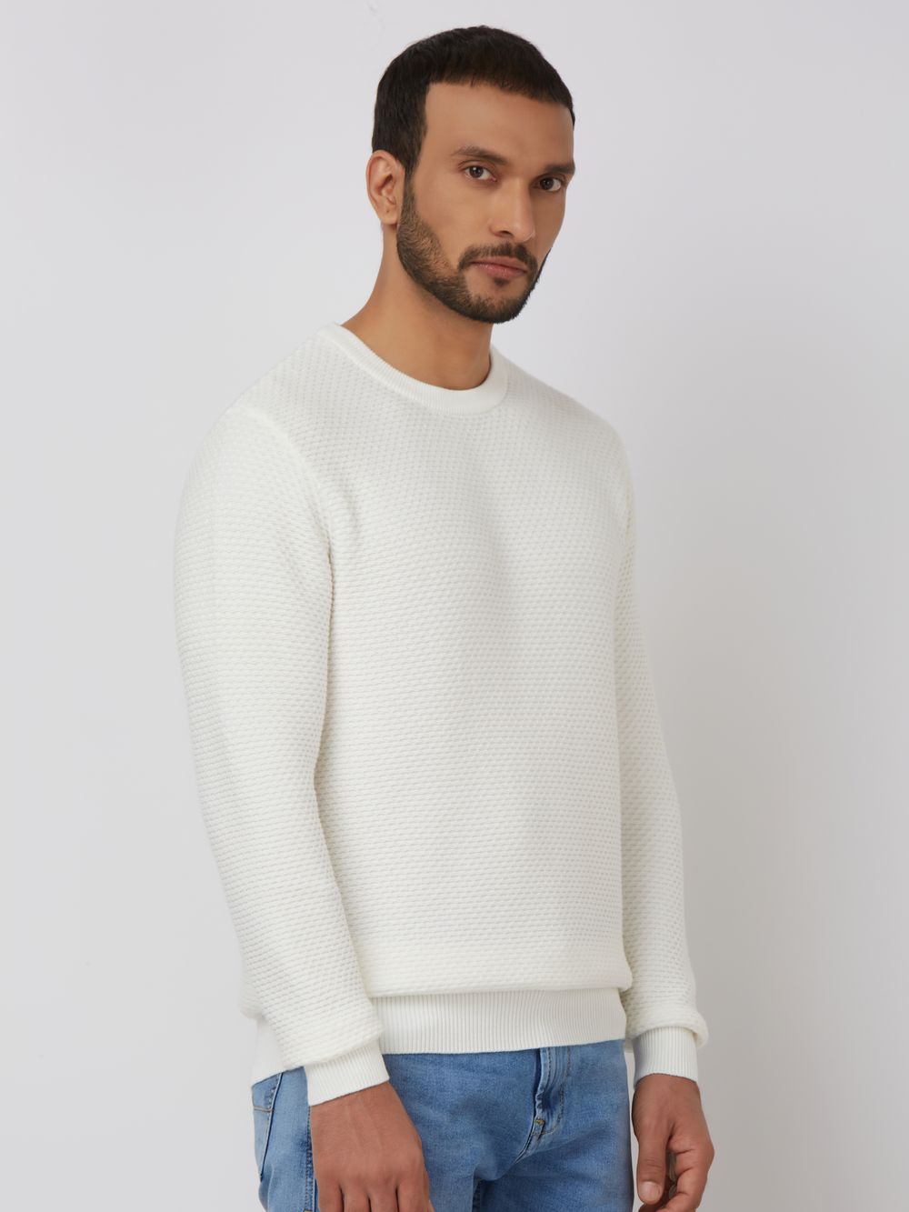 Textured Slim Fit Sweater