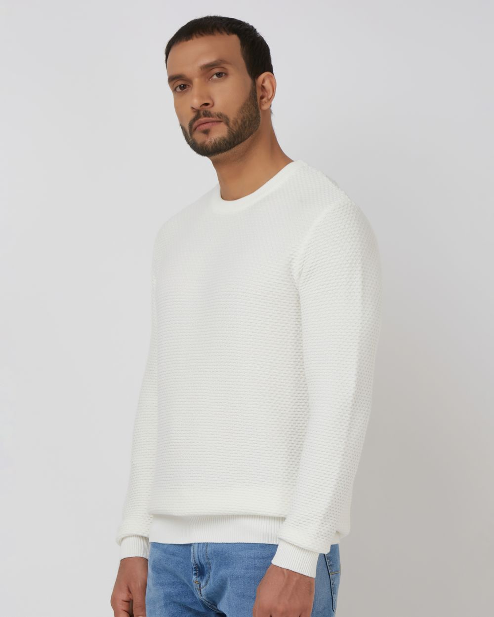 Textured Slim Fit Sweater