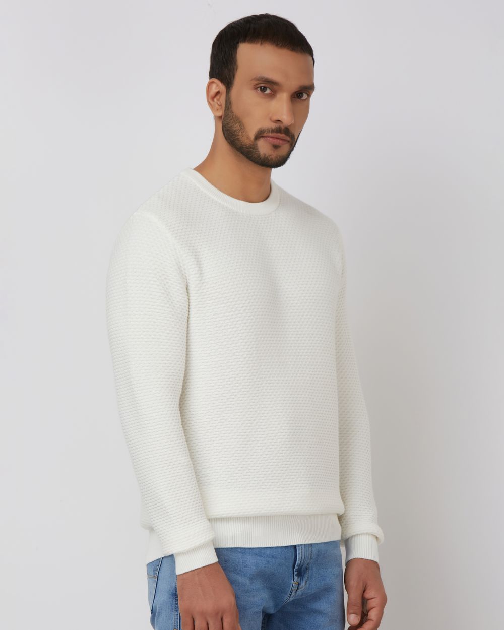 Textured Slim Fit Sweater