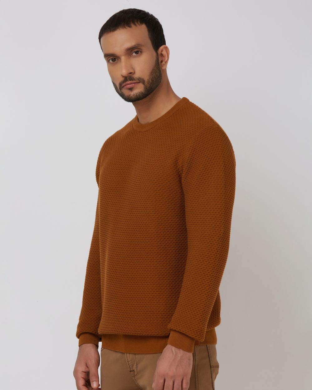 Textured Slim Fit Sweater