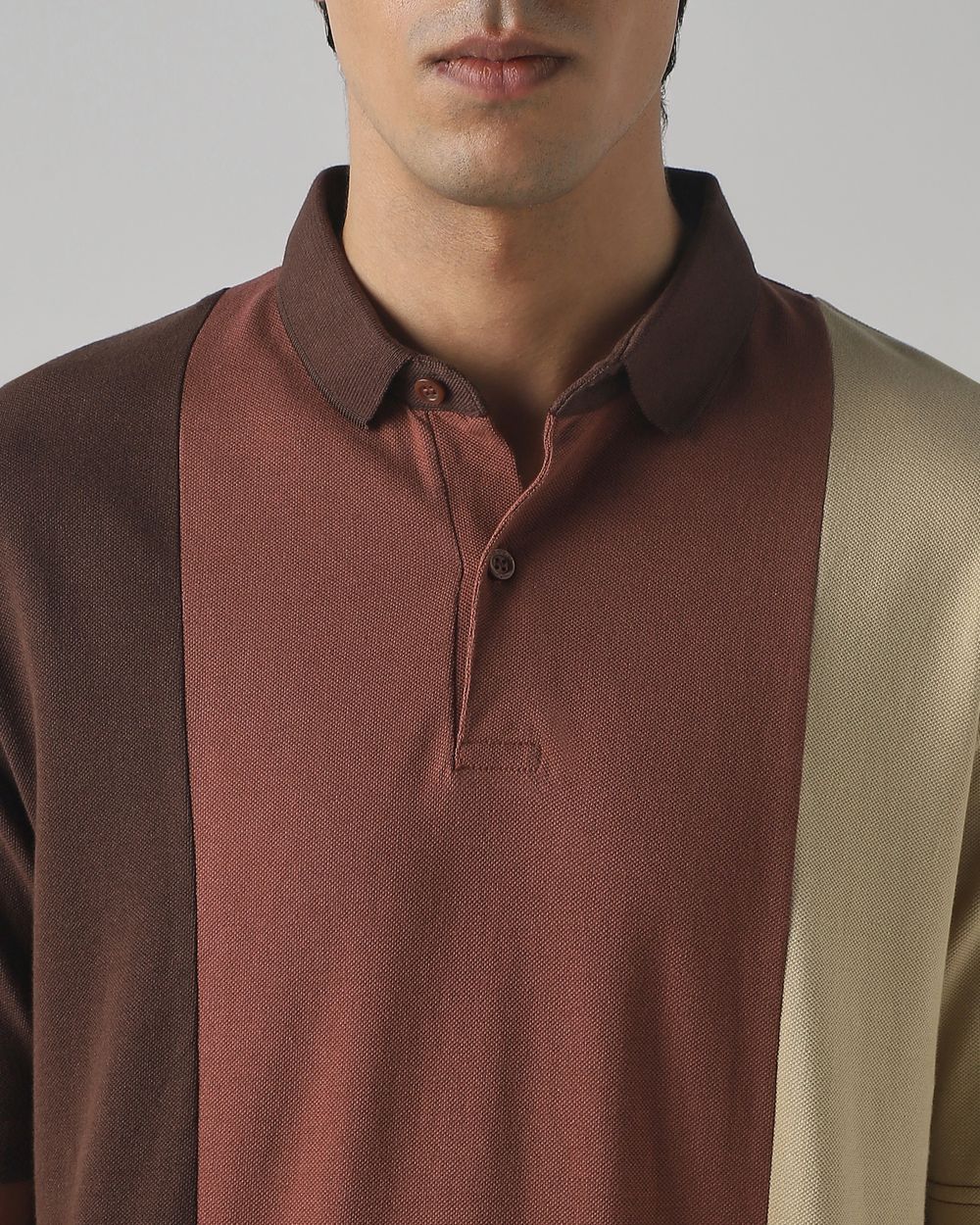 Brown Colorblocked Stripe Polo