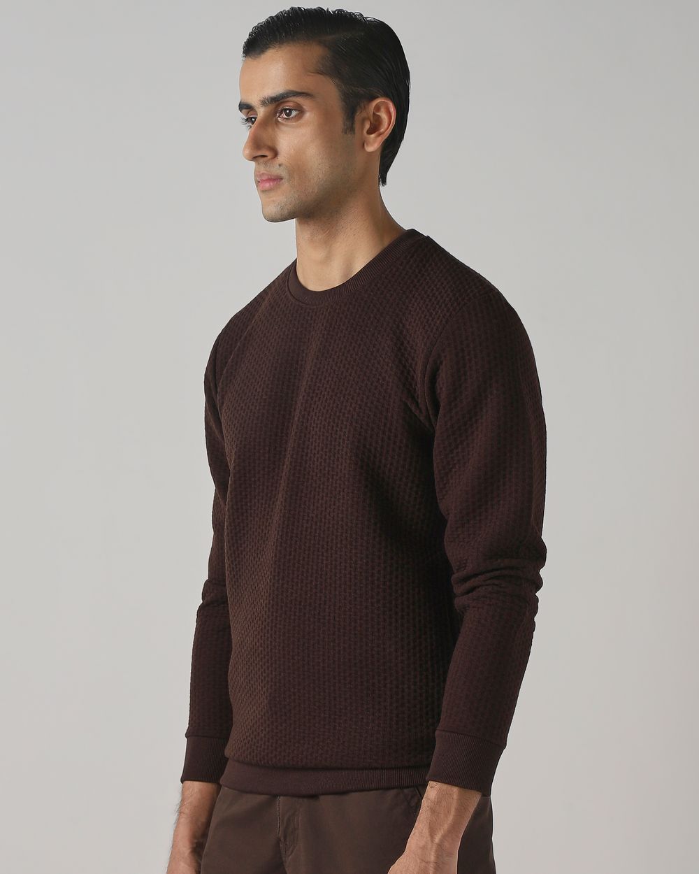 Brown Jacquard Plain Slim Fit Sweatshirt