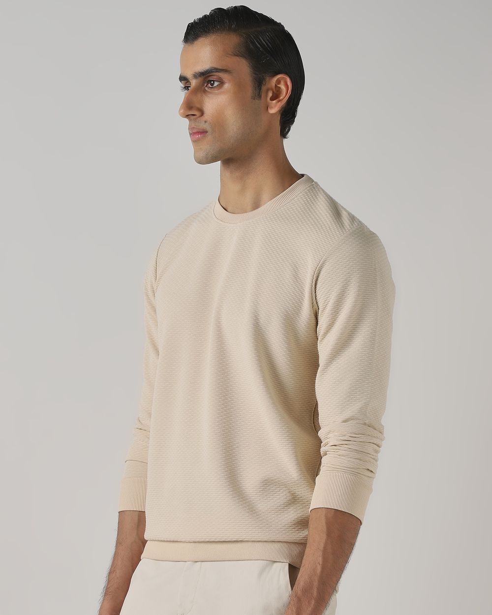 Beige Jacquard Plain Slim Fit Sweatshirt