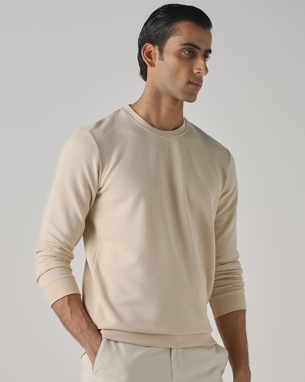 Beige Jacquard Plain Slim Fit Sweatshirt