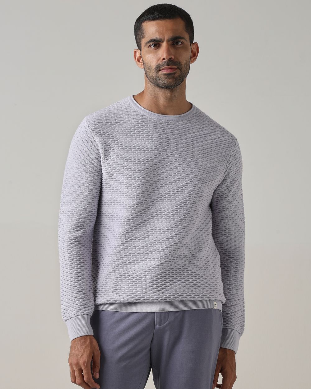 Lilac Textured Slim Fit Flatknit