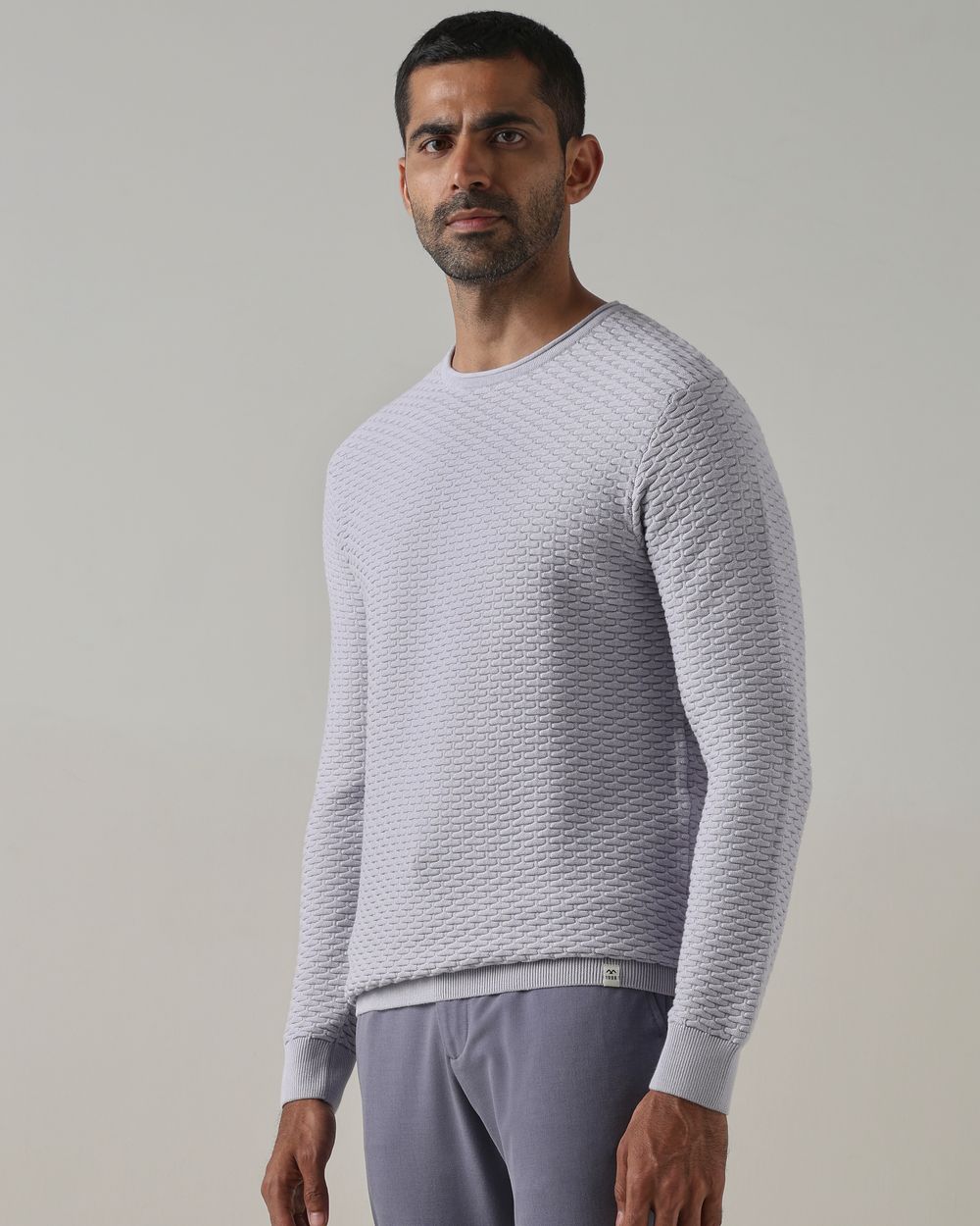 Lilac Textured Slim Fit Flatknit