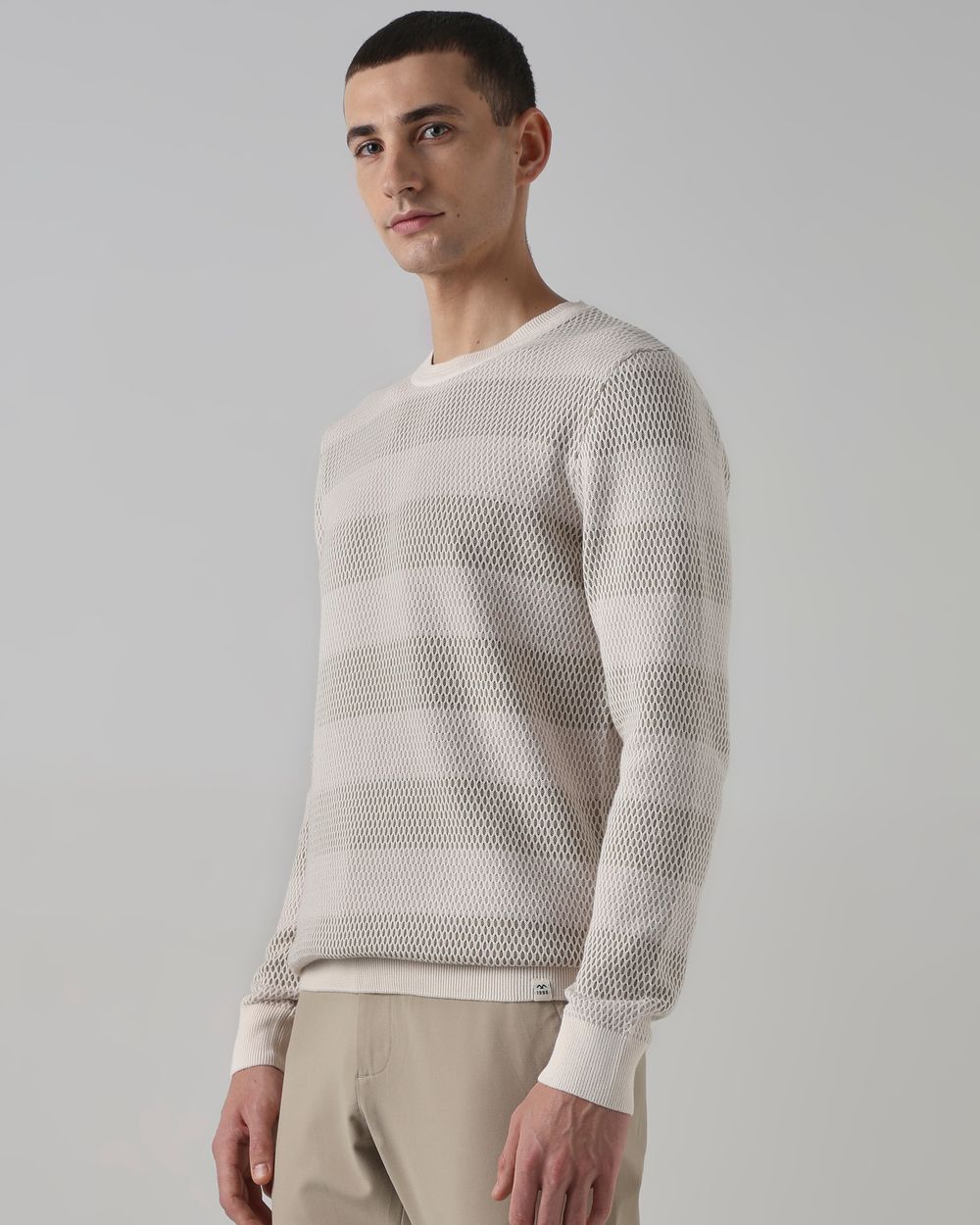 Beige Textured Slim Fit Flatknit